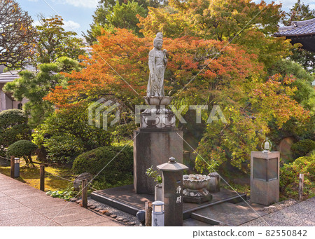[東京堀切] 多門寺院落的秋葉前，供奉弘法大師的和平觀音像。 82550842