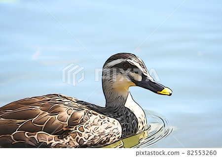 Pastel-like "spot-billed ducks swimming on the surface of the water" illustration image 82553260