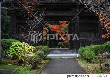 The gate of Matsuo-ji Temple in Izumi City, Osaka The gate of Matsuo-ji Temple in Izumi City, Osaka 82556321