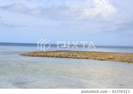 宜野灣市海岸 82556323
