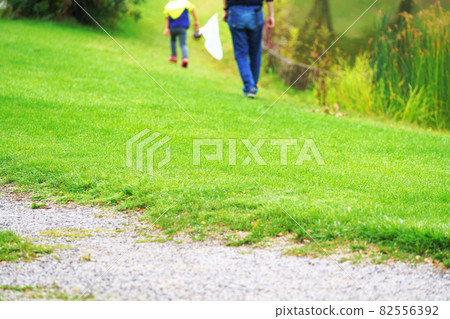 Scenery of parents and children enjoying with their father on an insect net 82556392