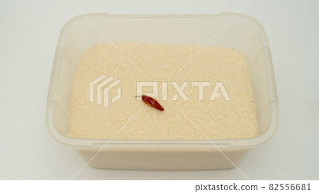 米果、辣椒和驅蟲劑 米果、辣椒和驅蟲劑 82556681