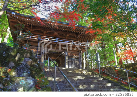 [Kagawa Prefecture] Shikoku Pilgrimage No. 88 Fudasho (Autumn leaves, Okubo-ji Temple) 82556855
