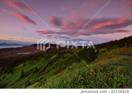 Superb view of dawn, Shibutoge Superb view of dawn, Shibutoge 82556929