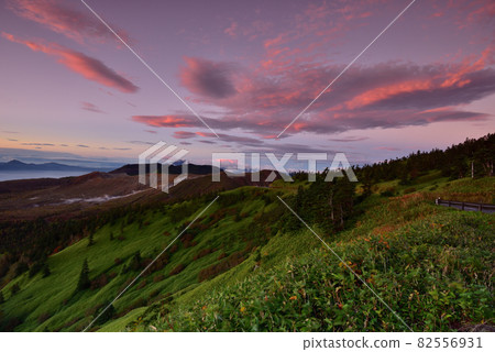 黎明絕景,Shibutoge 黎明絕景,Shibutoge 82556931