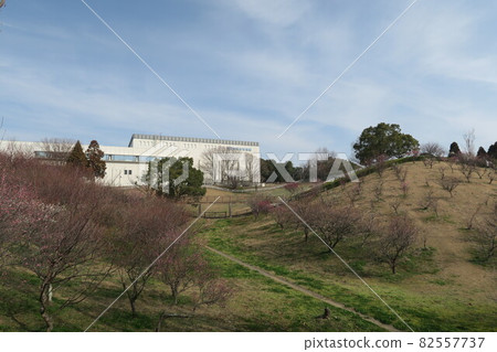 Ishigatani Park-Akashi Umebayashi- 82557737