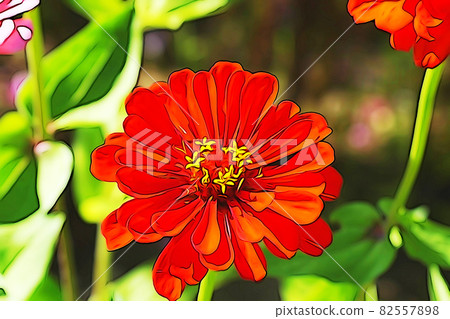 粉彩風格的“百日草盛開”插圖圖像 82557898