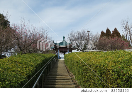 Ishigatani Park-Meishintei- Ishigatani Park-Meishintei- 82558363