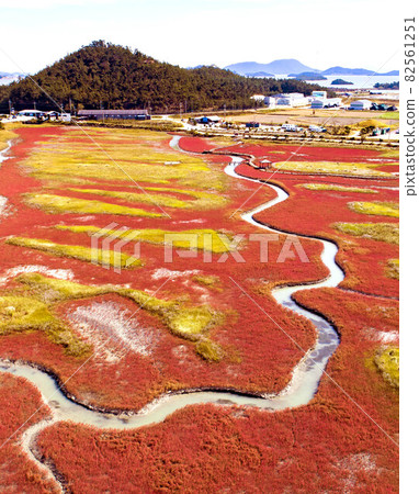 紅火雞醋 82561251