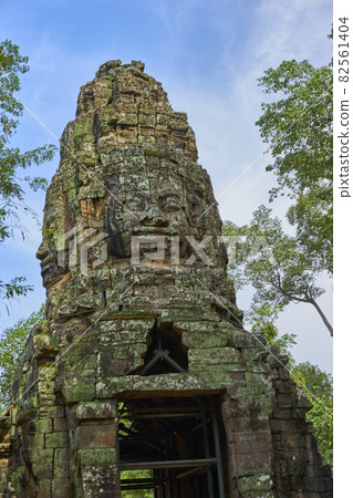 Cambodia Ruins Ta Prohm 82561404