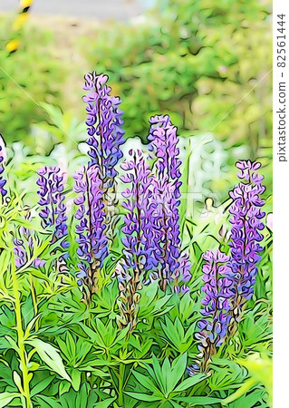 Pastel style "Lupinus" illustration image 82561444