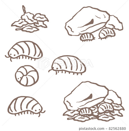 pill bug coloring pages