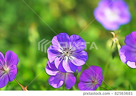 粉彩般的“Furosou 花卉植物”插圖圖像 82563681