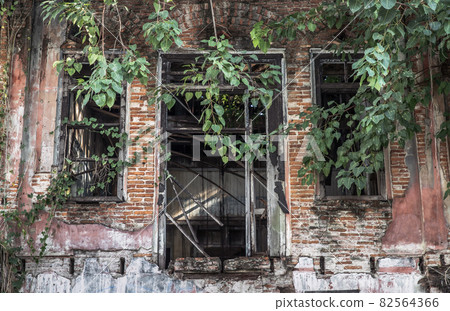 View through broken wooden door and old windows covered in green ivy plant into an abandoned building was left to deteriorate over time. View through broken wooden door and old windows covered in green ivy plant into an abandoned building was left to deteriorate over time. 82564366