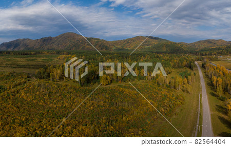Aerial view of road in beautiful autumn Altai forest Aerial view of road in beautiful autumn Altai forest 82564404