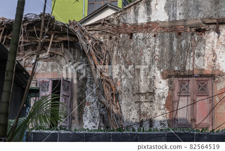 The remains of a derelict abandoned ancient house with antique wooden windows and tree roots growing on the old red brick. The remains of a derelict abandoned ancient house with antique wooden windows and tree roots growing on the old red brick. 82564519
