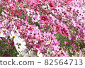 Autumn wind begins to blow 82564713