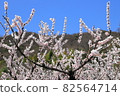 Enjoy with flowers and rejoice with fruits 82564714
