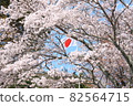 national flower 82564715