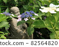 Talk about flowers 82564820