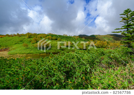 北海道東部羅臼湖步行道秋葉,北海道秋九月 北海道東部羅臼湖步行道秋葉,北海道秋九月 82567786
