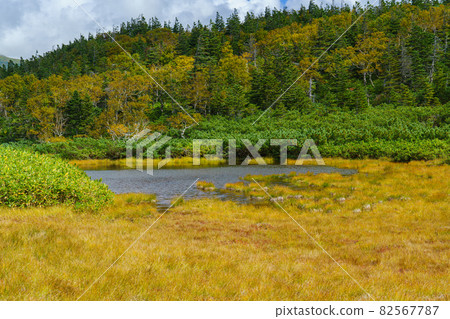 秋天的羅臼山來自北海道東部的羅臼湖,北海道秋九月 秋天的羅臼山來自北海道東部的羅臼湖,北海道秋九月 82567787