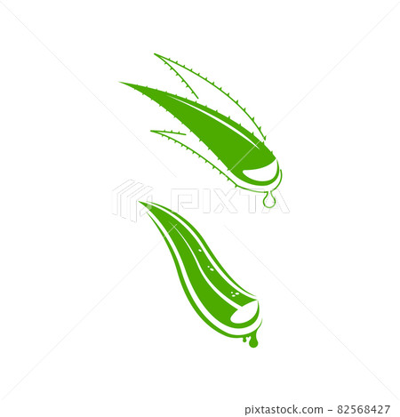 Aloe Vera Vector icon design illustration 82568427
