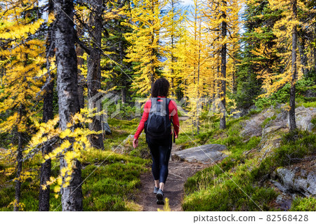 Adventurous Caucasian Woman Hiking on a Trail 82568428