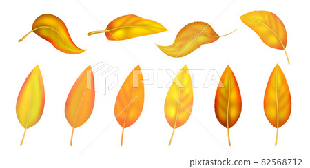 Autumn Leaves Set, Vector Illustration Autumn Leaves Set, Vector Illustration 82568712