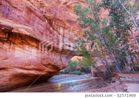Coyote Gulch 82571909
