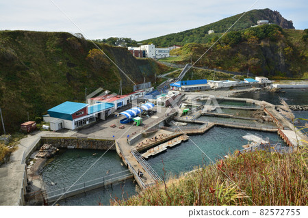 2021 10 01 Otaru Aquarium Otaru City 82572755