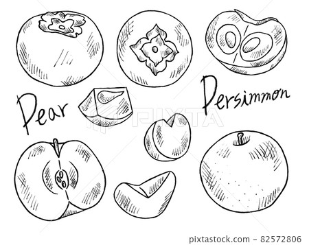 Black and white handwritten illustration image of persimmon and pear Black and white handwritten illustration image of persimmon and pear 82572806