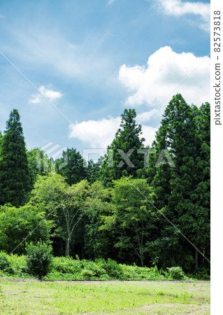Along the Moka Railway in the summer sky that runs through the satoyama Along the Moka Railway in the summer sky that runs through the satoyama 82573818