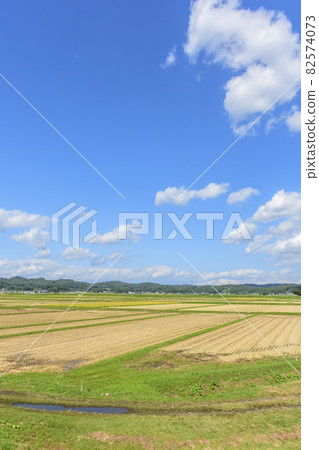宮城縣藏王町東北的水稻種植 宮城縣藏王町東北的水稻種植 82574073