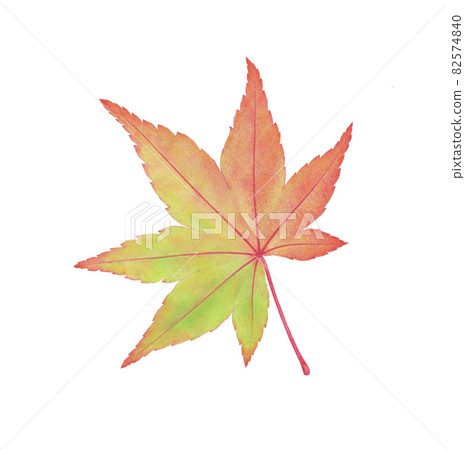 一個留下楓樹 82574840