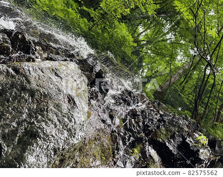 Mountain stream Mountain stream 82575562