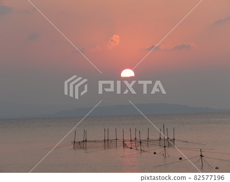 溫柔的夕陽 82577196