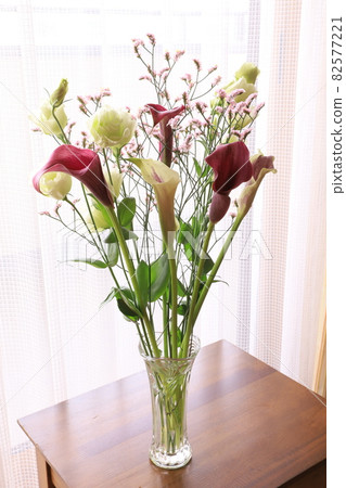 Color arrangement 82577221