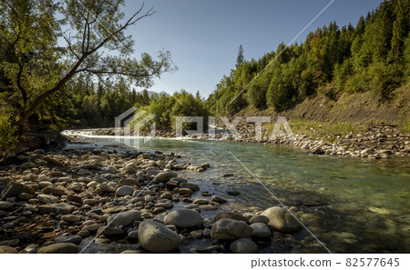 Bialka river in Tatra National Park, Podhale region, Poland 82577645