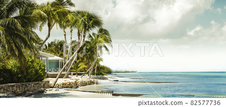 Panorama with beachfront bungalow under palm trees Panorama with beachfront bungalow under palm trees 82577736
