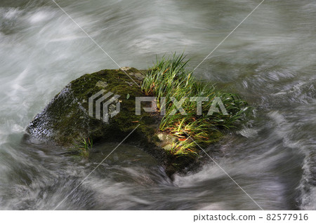 Clear flow and rock Clear flow and rock 82577916