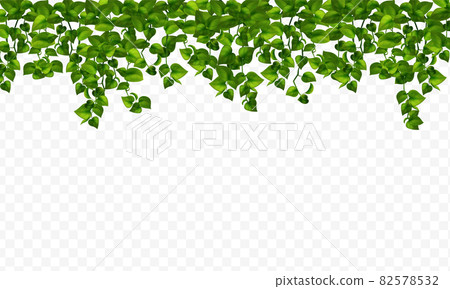 House Realistic Plants 82578532