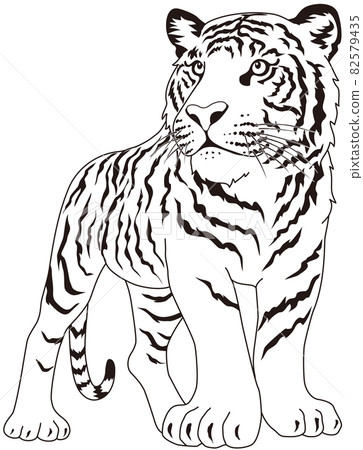 虎頭單色 虎頭單色 82579435