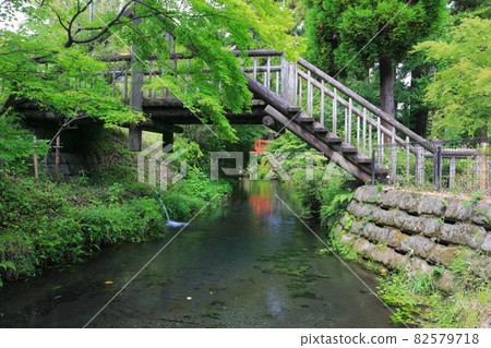 [Kumamoto Prefecture] Shirakawa Water Source 82579718