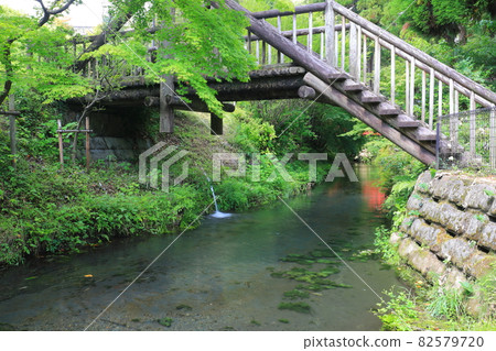 [Kumamoto Prefecture] Shirakawa Water Source 82579720