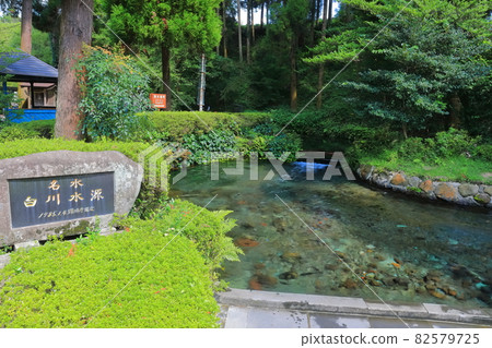 [Kumamoto Prefecture] Shirakawa Water Source 82579725