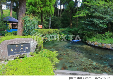 [Kumamoto Prefecture] Shirakawa Water Source 82579726