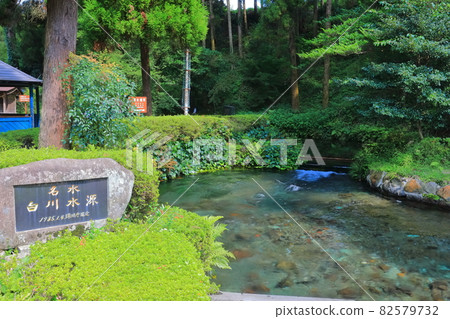 [Kumamoto Prefecture] Shirakawa Water Source 82579732