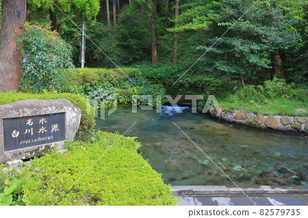 [Kumamoto Prefecture] Shirakawa Water Source 82579735