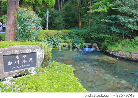 [Kumamoto Prefecture] Shirakawa Water Source 82579742